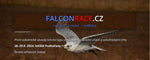 Falconrace.cz